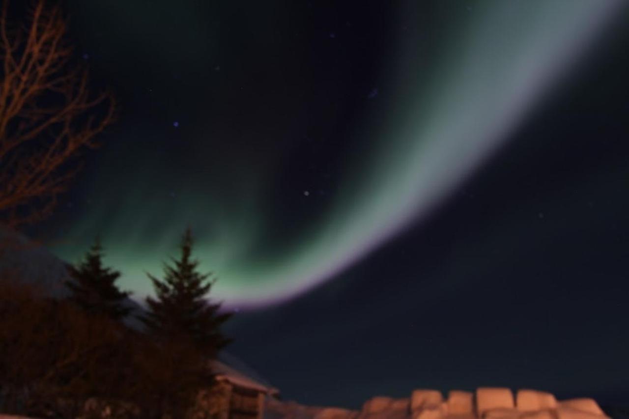 Gemlufall Guesthouse Thingeyri Buitenkant foto